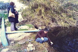 Άμεση ενεργοποίηση της Περιφέρειας μετά από καταγγελία για ρύπανση του φράγματος Ινίου