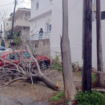 Τα έντονα καιρικά φαινόμενα που σημειώθηκαν χθες με τις ισχυρές βροχοπτώσεις και ανέμους είχαν αποτέλεσμα την πτώση ενός δέντρου επάνω σε ένα αυτοκίνητο. Αμέσως ενημερώθηκε η Πολιτική Προστασία του Δήμου Ηρακλείου που φρόντισε για την απομάκρυνση του χωρίς ευτυχώς κανείς να πάθει τίποτα.