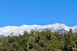 Χιονισμένη η «ρίζα» του Ψηλορείτη