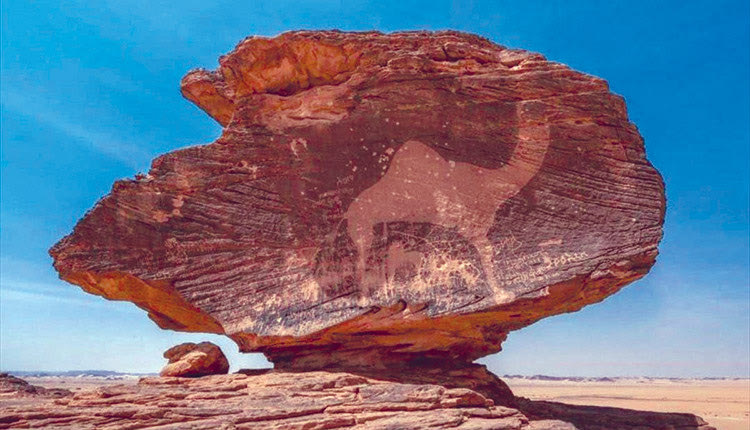 Προϊστορικές οι ανάγλυφες καμήλες | Σαουδική Αραβία