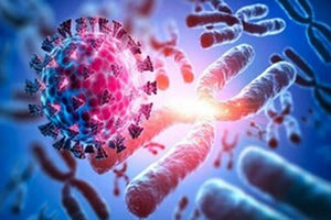 Η παραλλαγή “Όμικρον”