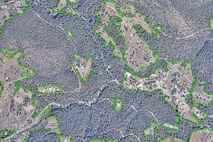 ΓΙΑ ΤΑ ΔΑΣΙΚΑ: Τροπολογία με... κενά στους χάρτες