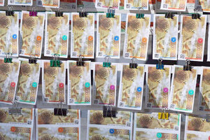 ΠΡΩΤΟΧΡΟΝΙΑΤΙΚΟ ΛΑΧΕΙΟ