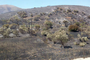 ΕΜΠΡΗΣΜΟΣ ΦΩΤΙΑ