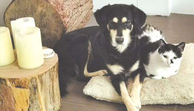 Ψάχνουν το… Μικρόβιο