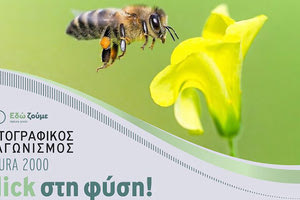 2ος ΦΩΤΟΓΡΑΦΙΚΟΣ ΔΙΑΓΩΝΙΣΜΟΣ «NATURA 2000» Ένα κλικ στη φύση