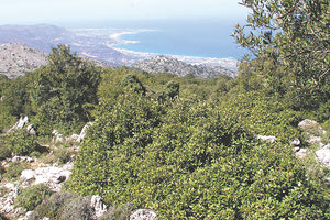 Στο Αζιλακόδασος  ο ΕΟΣ Ηρακλείου