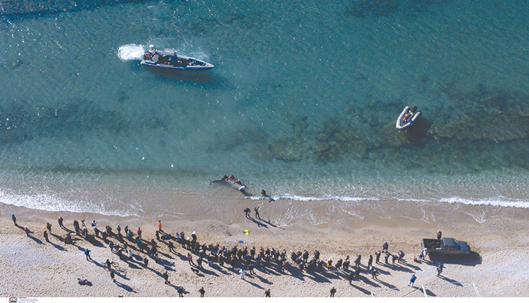 ΦΑΛΑΙΝΑ ΣΤΟΝ ΑΛΙΜΟ
