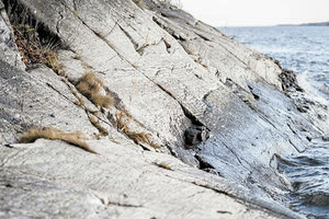 Συνεχίζεται η προσπάθεια για την αναγνώριση του άτυχου ανθρώπου που βρέθηκε στον Καρτερό