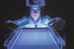 ΜΑΡΙΑΝΝΑ ΔΑΚΑΝΑΛΗ: Ψάχνουμε για να βρούμε τη θεραπεία του καρκίνου