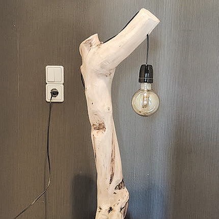 Δημιουργίες του κ. ΠαπαδάκηΔημιουργίες του κ. Παπαδάκη