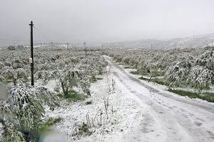κακοκαιρία - χιόνια