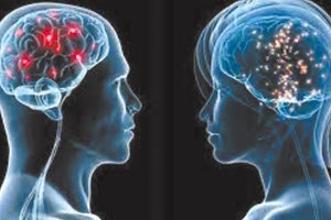 Ο ανθρώπινος εγκέφαλος