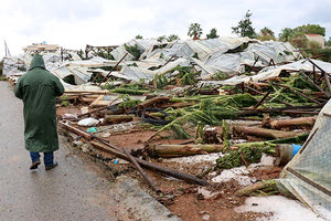 Πλήγμα σε ελιές και θερμοκήπια από χαλάζι και υδροστρόβιλους