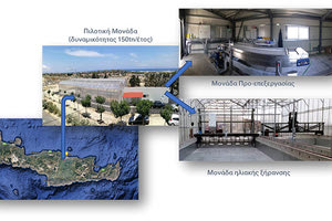 Τροφή από Τρόφιμα: Μια καινοτόμος διεργασία για την μετατροπή τροφικών υπολειμμάτων ξενοδοχειακών μονάδων σε συστατικά ζωοτροφών
