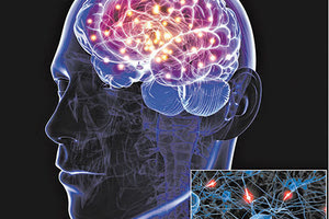 Εθνικό Δίκτυο Ιατρικής Ακρίβειας