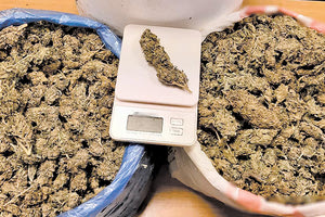 ναρκωτικά κάνναβη