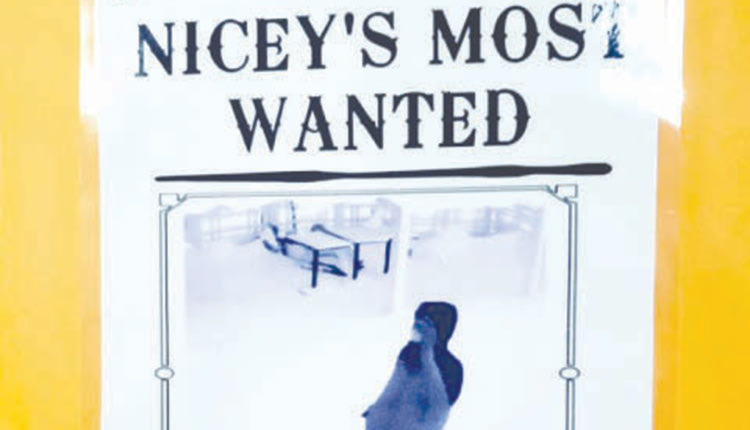 Ο μυστηριώδης πελάτης  Στον Καναδά έπεσαν μεγάλες ποσότητες χιονιού. Μάλιστα σε κάποιες περιοχές το χιόνι ξεπέρασε το ένα μέτρο. Τα καταστήματα έκλεισαν, ωστόσο κάποιος από τους κατοίκους των περιοχών αυτών φαίνεται ότι πεινούσε πολύ. Και έτσι πήρε τον δρόμο για το αγαπημένο του εστιατόριο.;