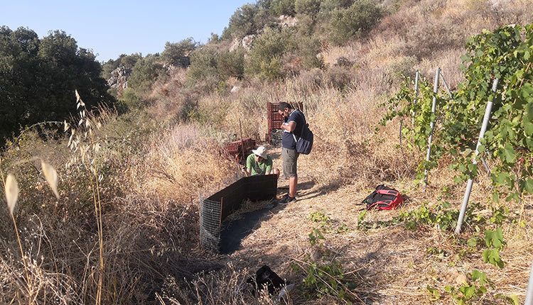 Μέσω της διαστημικής τεχνολογίας, αποτυπώνεται η διάβρωση των εδαφών της Κρήτης