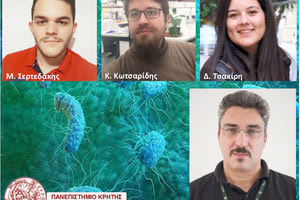 Νέα αποκαλυπτικά στοιχεία για το παθογόνο Xylella που “σκοτώνει” την ελιά