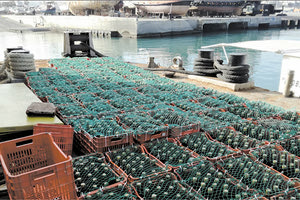 Τον Αύγουστο οι πρώτες γευστικές δοκιμές από λάτρεις του κρασιού.