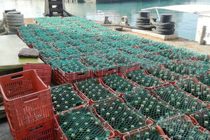 ΕΔΕ σχηματίζεται από το Λιμεναρχείο Ηρακλείου για τα... βυθισμένα κρασιά