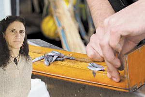 Η Διευθύντρια ερευνών στο ΕΛΚΘΕ, Δρ. Μαριάννα Γιαννουλάκη