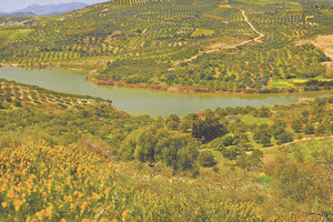 ΚΙΝΔΥΝΟΣ ΣΤΑ ΠΑΡΤΙΡΑ “Λύγισε” και το φράγμα!