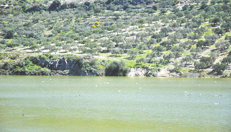 ΚΙΝΔΥΝΟΣ ΣΤΑ ΠΑΡΤΙΡΑ “Λύγισε” και το φράγμα!