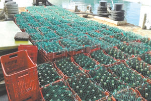 Ενδιαφέρον από δήμους της Κρήτης για το project με τα κρασιά