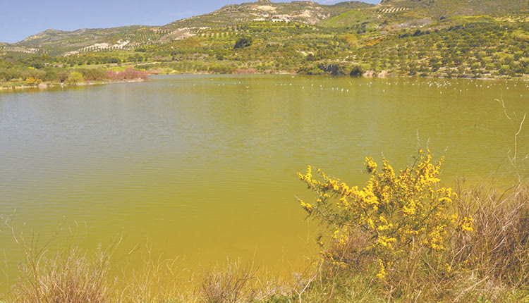 ΦΡΑΓΜΑ ΠΑΡΤΙΡΩΝ