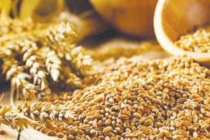 Η Ουκρανία είναι ο σιτοβολώνας της Ευρώπης ­και τώρα «σβήνει»