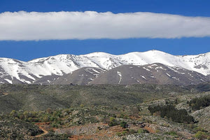 NATURA - ψηλορειτης