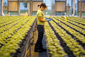 Εμβόλιο κατά της Covid-19 από... φυτά