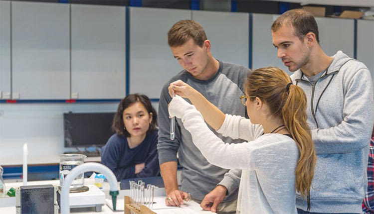 DEREE ΣΠΟΥΔΕΣ