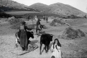 ΦΩΤΟΗΜΕΡΑΣ: Έξω από τη Νεάπολη, στα Αλωνάκια. Φωτογραφία τραβηγμένη το 1905.