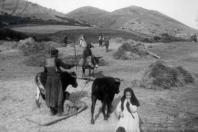 ΦΩΤΟΗΜΕΡΑΣ: Έξω από τη Νεάπολη, στα Αλωνάκια. Φωτογραφία τραβηγμένη το 1905.