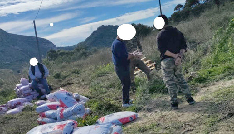 Οι ωφελούμενοι του ΚΕΘΕΑ λυπαίνουν τα ελαιόφυτα του Δήμου