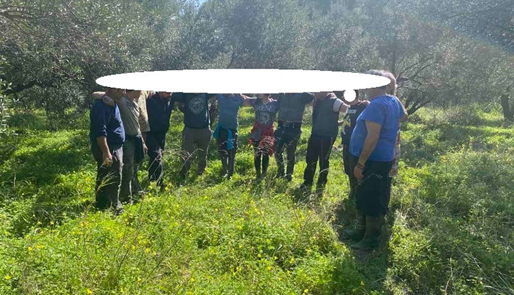 Οι ωφελούμενοι του ΚΕΘΕΑ λυπαίνουν τα ελαιόφυτα του Δήμου