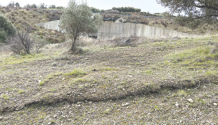 Η παραπάνω φωτογραφία αποτυπώνει όλο το εύρος της καθίζησης στο ύψος τού υπό κατασκευή ανισόπεδου κόμβου του Πανασσού που ξεκινά από το δρόμο και εξελίσσεται προς τα κάτω. Δείχνει την πορεία της μετατόπισης των εδάφων ακόμα και του τοιχίου αντιστήριξης και του ελαιόφυτου