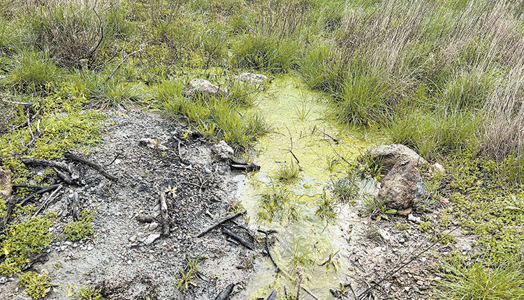 Μεγάλες ποσότητες νερού αναβλύζουν από παντού