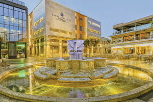 ΟΨΕΙΣ ΚΑΤΑΣΤΗΜΑΤΩΝ Μπαίνουν κανόνες γύρω από τα Λιοντάρια