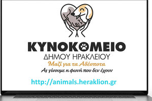 ΝΕΑ ΙΣΤΟΣΕΛΙΔΑ ΤΗΣ ΛΟΤΖΙΑ Χρήσιμες πληροφορίες για τα ζώα συντροφιάς