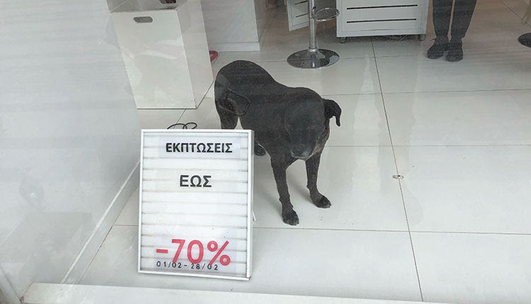 Οι εκπτώσεις τέλειωσαν και τα σκυλιά… δεμένα ή επί το ακριβέστερον, εγκλωβισμένα στις βιτρίνες των πολυεθνικών.