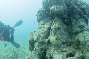Ο καταδυτικός τουρισμός…  ιδανικός στην Κρήτη