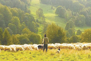 Καταδικάστηκε για την αποπλάνηση του 11χρονου γιου του αφεντικού του