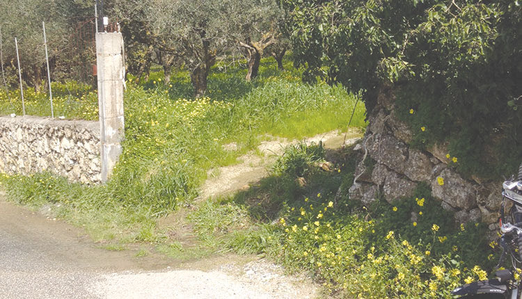 χαμοσ στην υπαιθρο