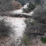 Δείτε όλα τα άρθρα από το χρήστη Ευτύχιος Σ. Καλογεράκης