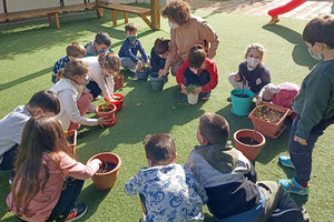 το 64ο Νηπιαγωγείο Ηρακλείου συμμετέχει  σε ευρωπαϊκό πρόγραμμα Etwinning :«Σώστε τα δάση!».