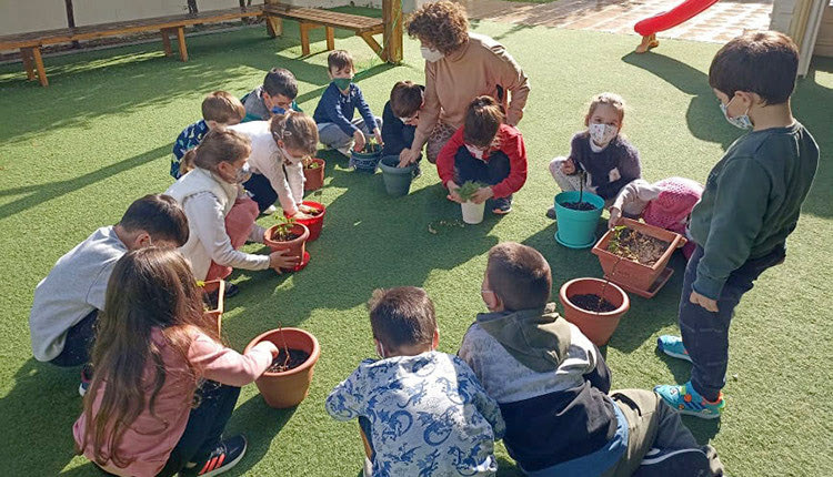το 64ο Νηπιαγωγείο Ηρακλείου συμμετέχει  σε ευρωπαϊκό πρόγραμμα Etwinning :«Σώστε τα δάση!».